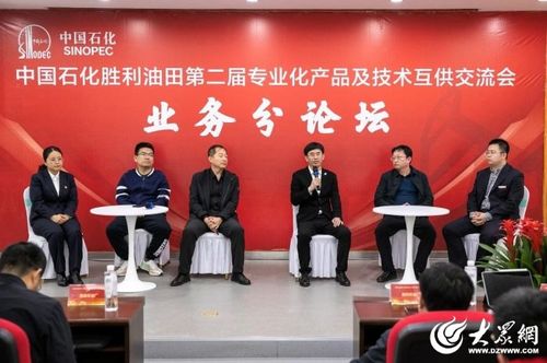 首次胜利油田专业化服务及产品互供交流展览会举办业务沙龙，电力专场咨询策划服务引领创新浪潮